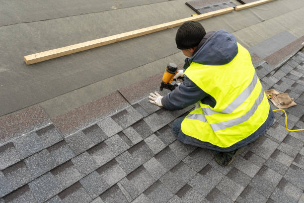 Roof Gutter Cleaning in Jackson, MI