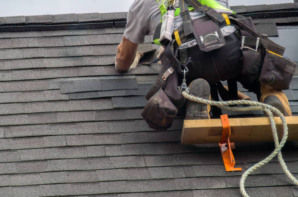 Best Residential Roofing Contractor  in Jackson, MI